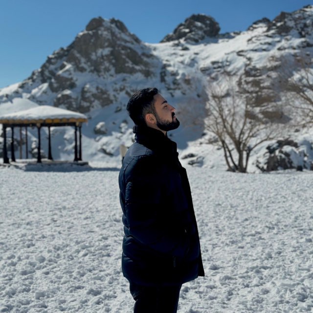 امیر نادری
